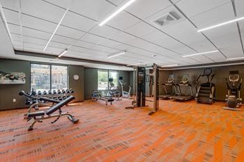 Fitness center with weights, cardio & resistance training equipment